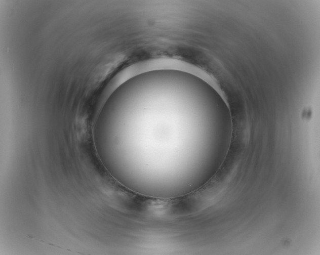 X0000089940088200707201913