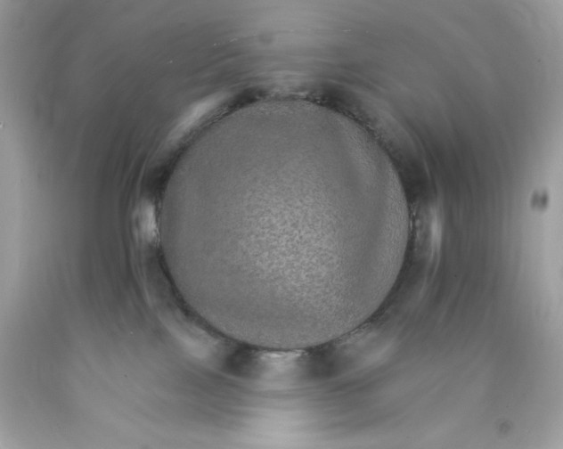 X0000089940089200707201913