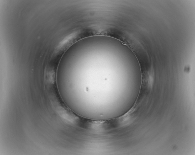 X0000089940090200707201913