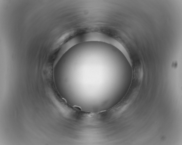 X0000089940092200707201913