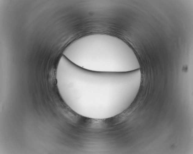 X0000089940093200707201913