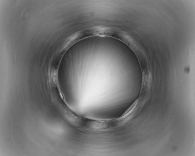 X0000089940094200707201913