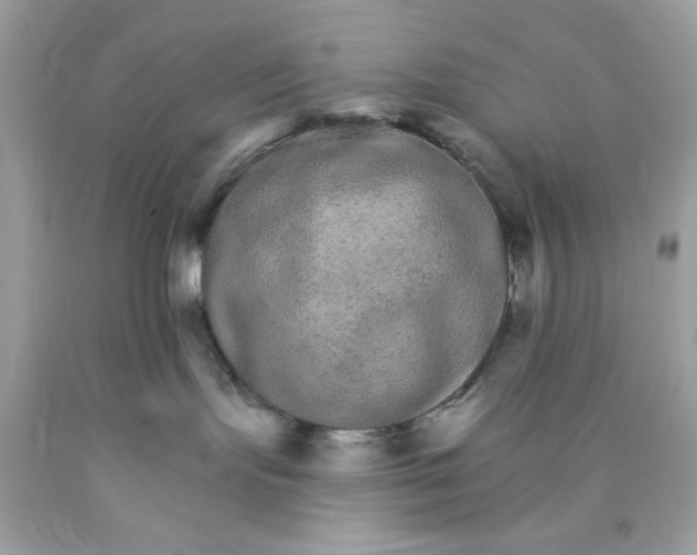 X0000089940095200707201913