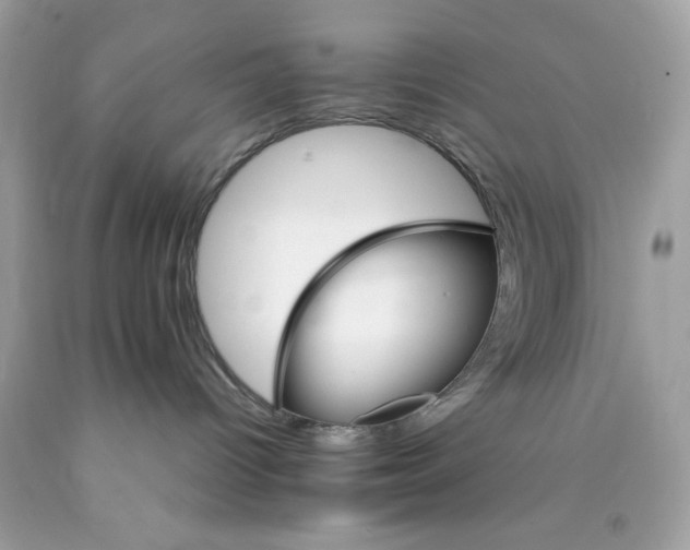 X0000089940096200707201913