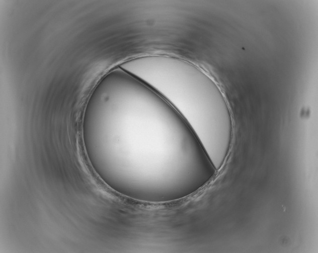 X0000089940097200707201912