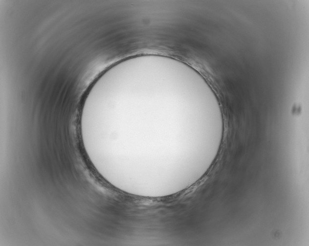 X0000089940098200707201912