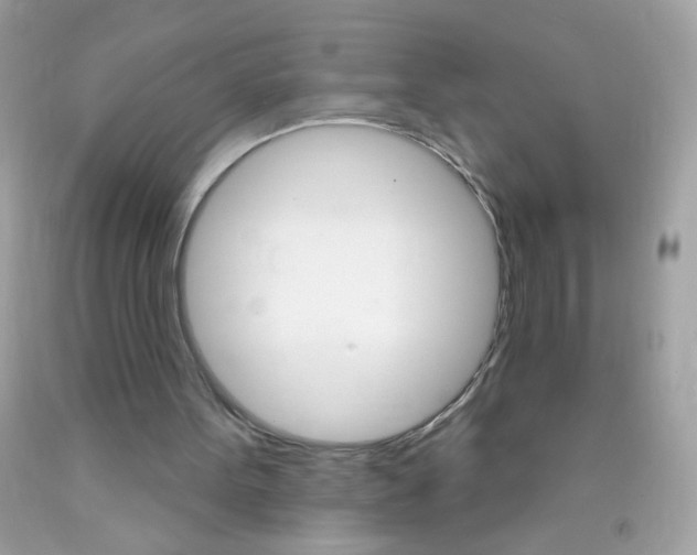 X0000089940099200707201912