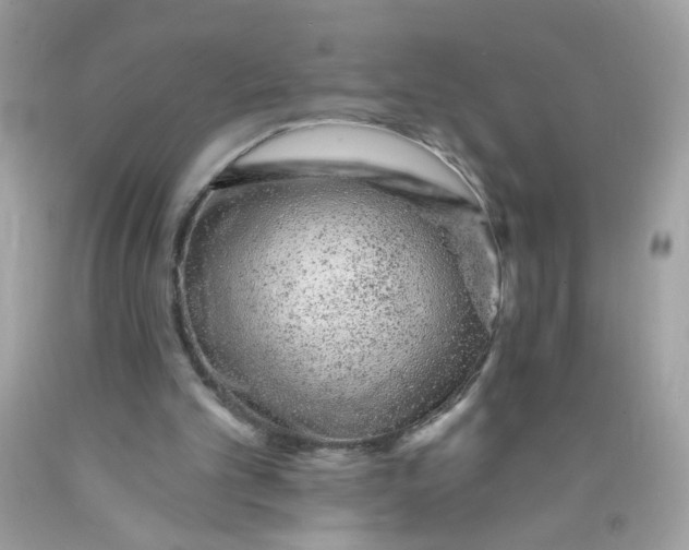 X0000089940101200707201912