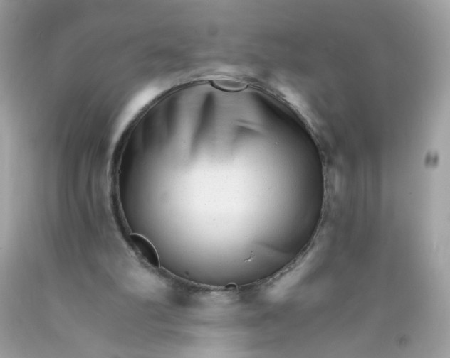X0000089940102200707201912