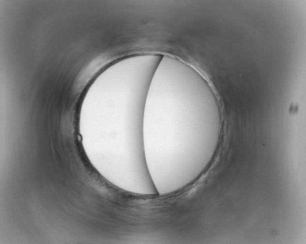 X0000089940103200707201912