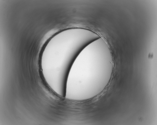 X0000089940104200707201912