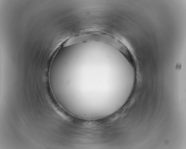 X0000089940105200707201912