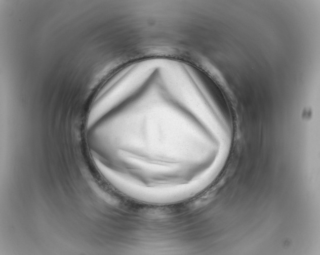 X0000089940106200707201912