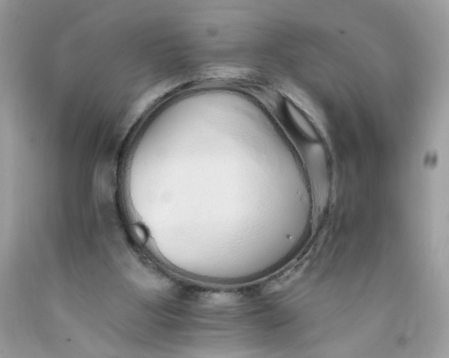 X0000089940107200707201912