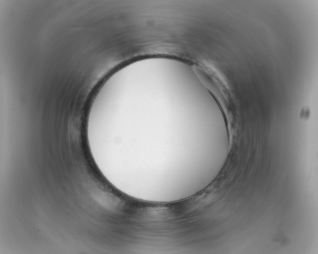 X0000089940108200707201912