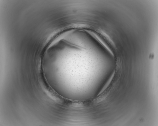 X0000089940110200707201912