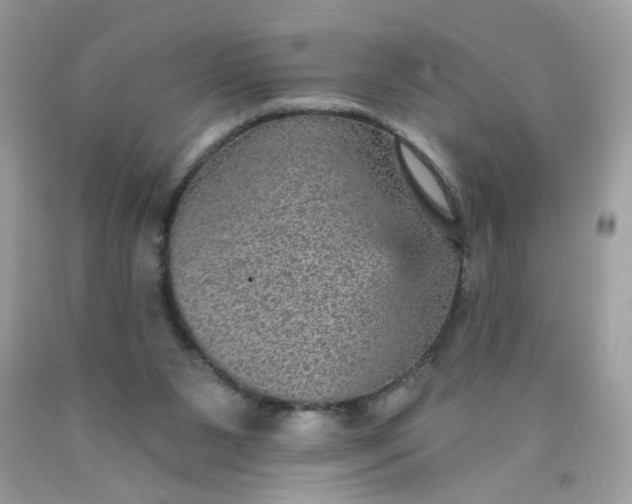 X0000089940111200707201912