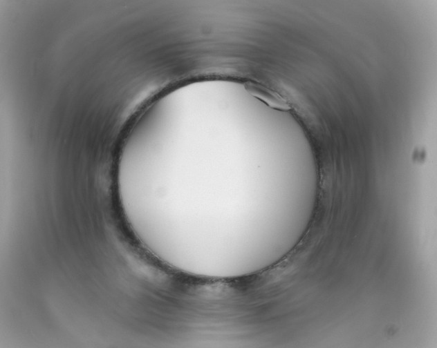 X0000089940112200707201912