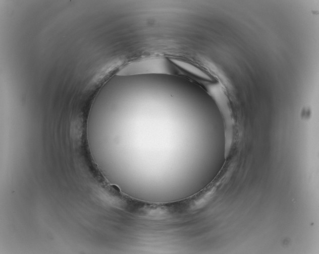 X0000089940113200707201912