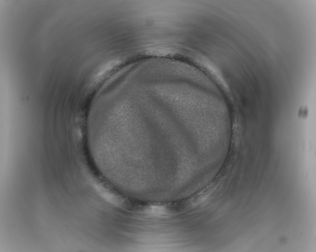 X0000089940114200707201912