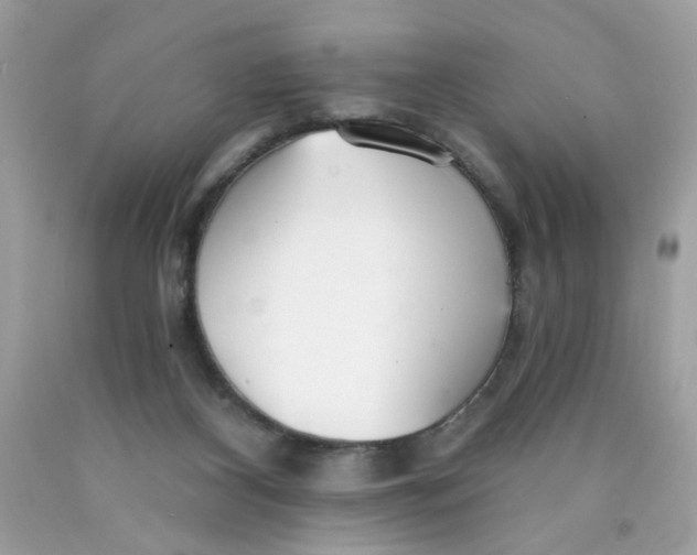 X0000089940116200707201912