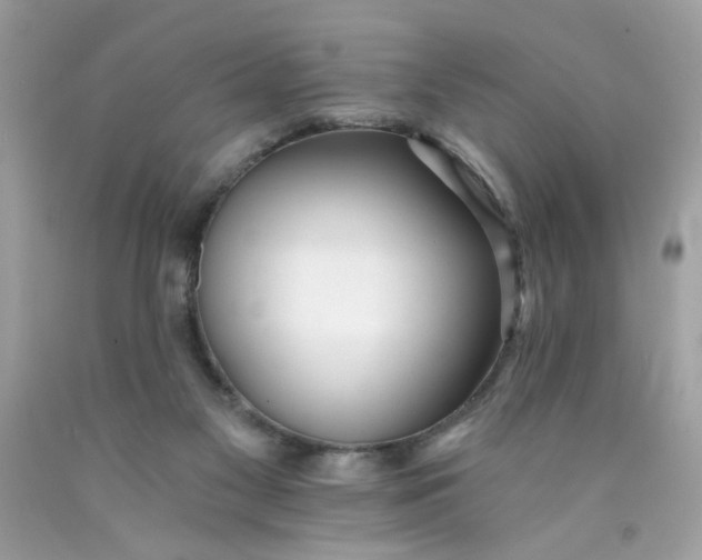 X0000089940117200707201912