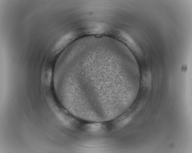 X0000089940118200707201912
