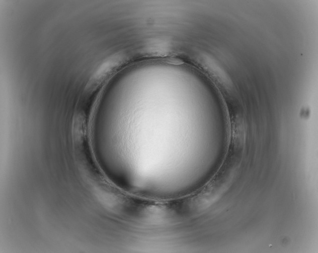 X0000089940119200707201912
