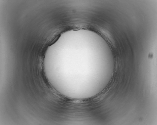 X0000089940121200707201912