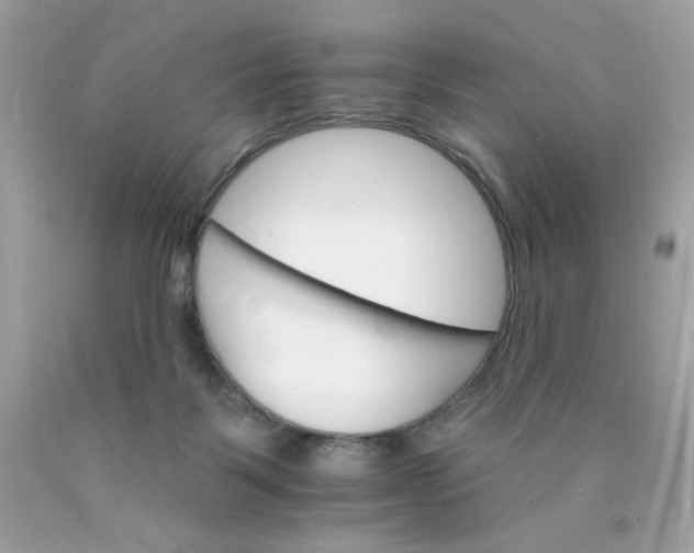 X0000089940123200707201912