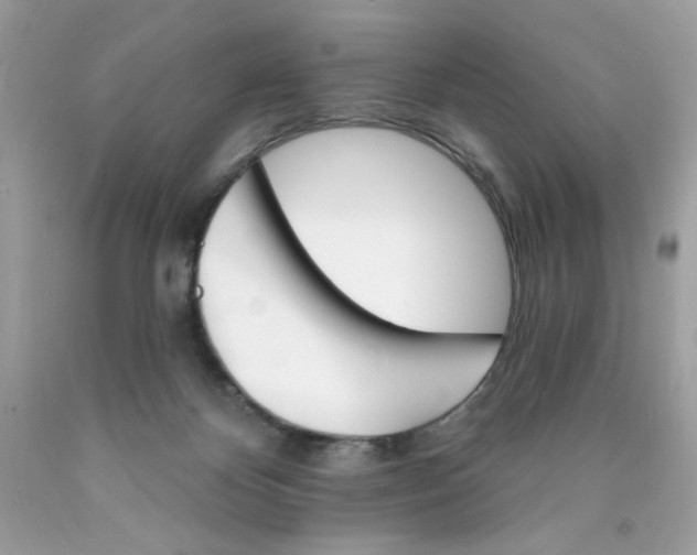 X0000089940124200707201912