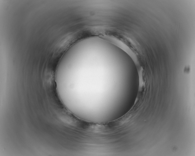 X0000089940125200707201912