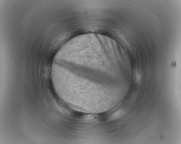 X0000089940126200707201912