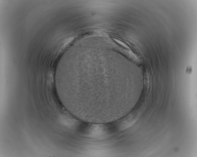 X0000089940127200707201912