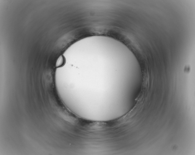 X0000089940128200707201912