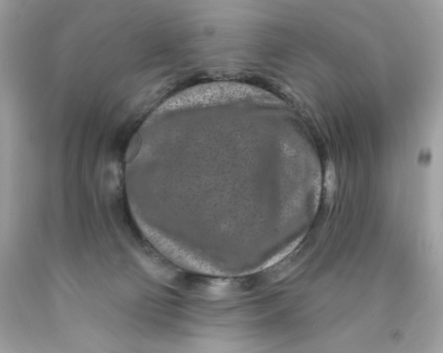 X0000089940130200707201912