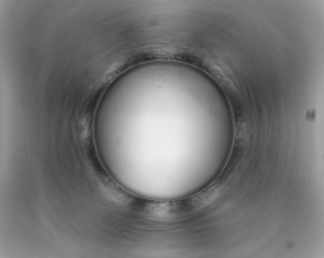 X0000089940131200707201912