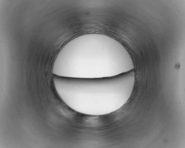 X0000089940132200707201912