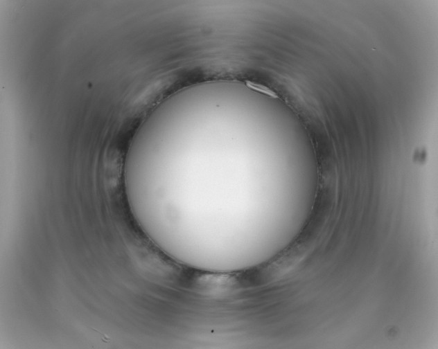 X0000089940133200707201912