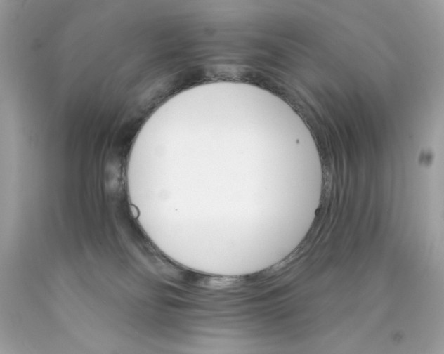 X0000089940134200707201912