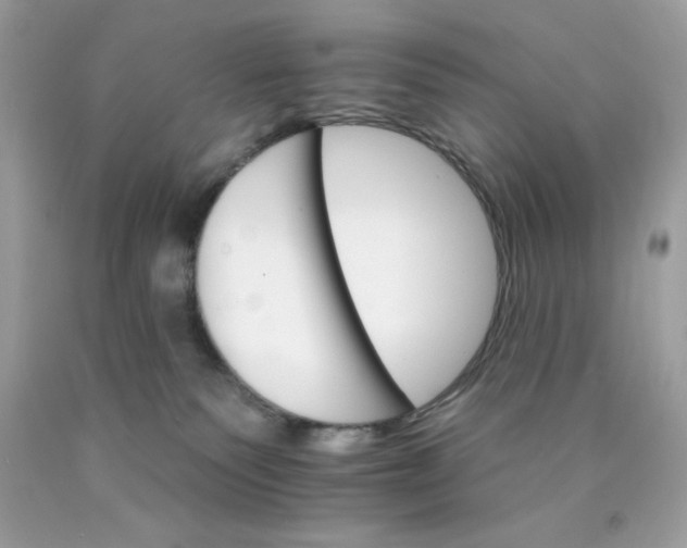 X0000089940135200707201912