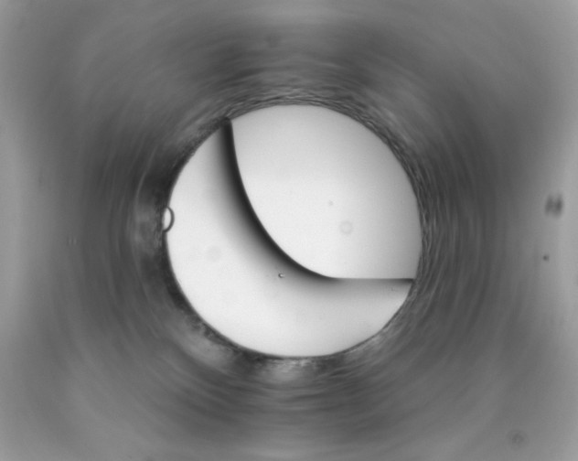 X0000089940136200707201912