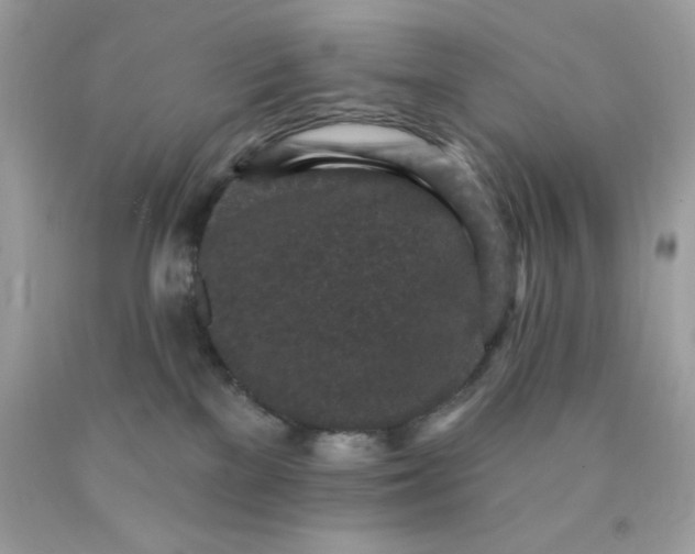 X0000089940137200707201912