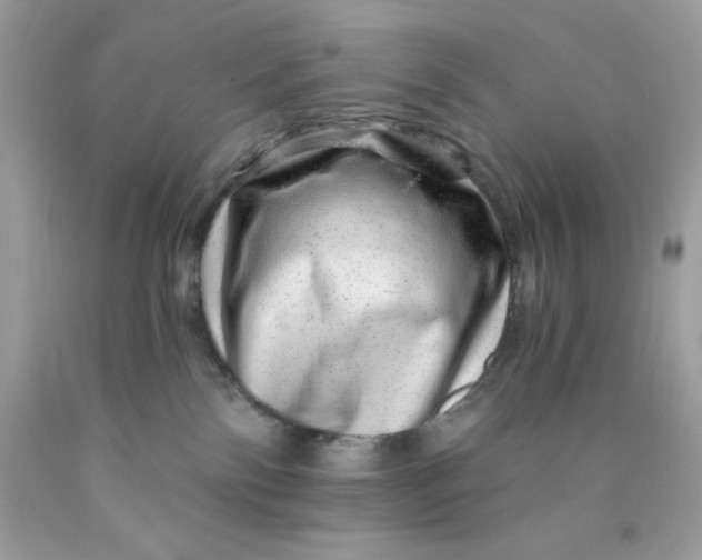 X0000089940138200707201912