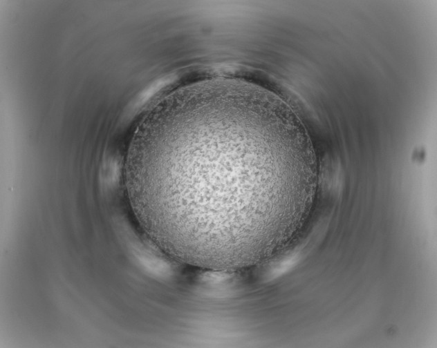 X0000089940139200707201911