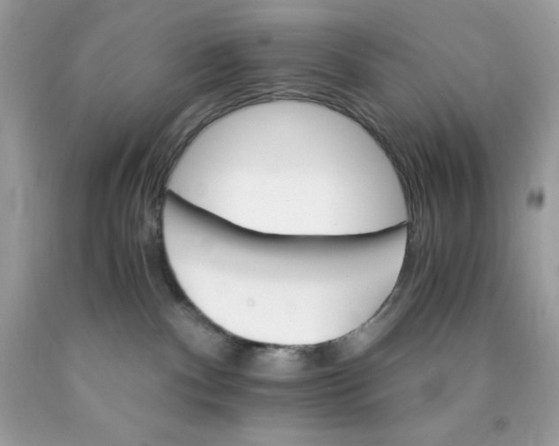 X0000089940140200707201911