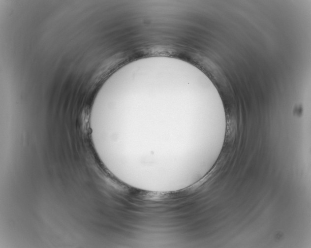 X0000089940142200707201911