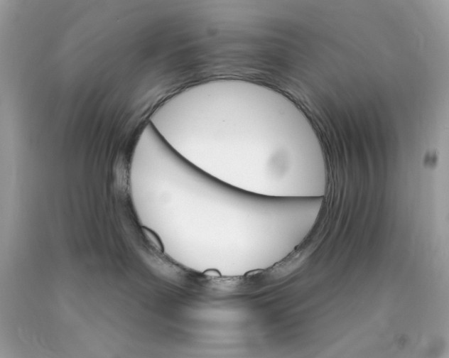 X0000089940143200707201911
