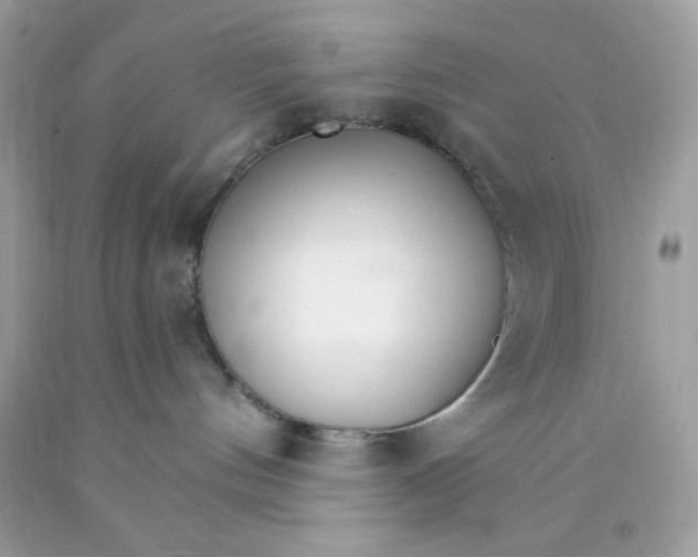 X0000089940144200707201911