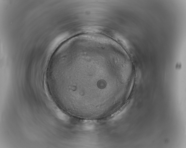 X0000089940145200707201911